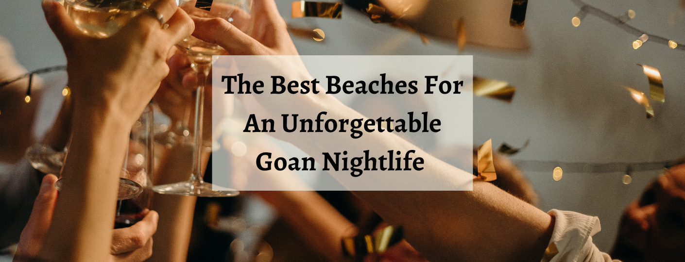 Goa Nightlife Experience